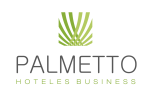 Logo_Palmetto-300x177